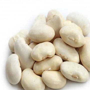 Organic White Butter Beans