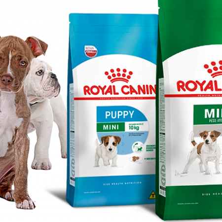 Denmark Royal Canin Large Adult Wet Dog Food - 15 Months+ 26-44kg adult
