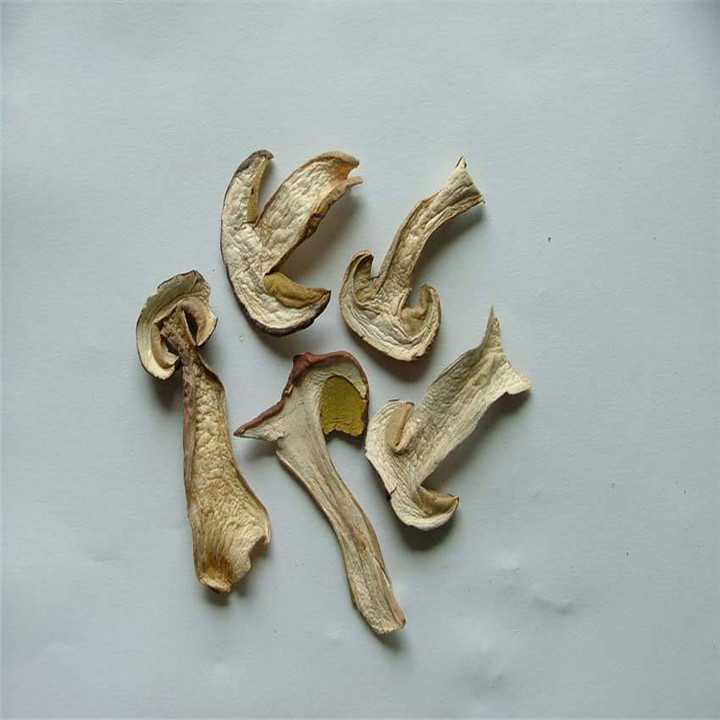 dried porcini mushroom for export
