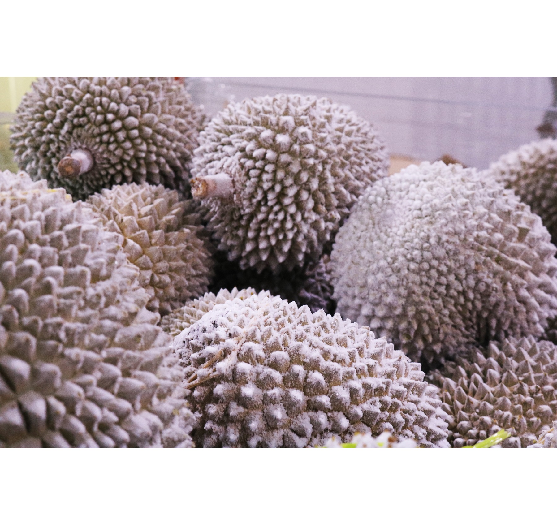 Высшее качество, Musang King AA D197, замороженный дуриан с раковиной из Малайзии, лучший поставщик фруктов дуриана