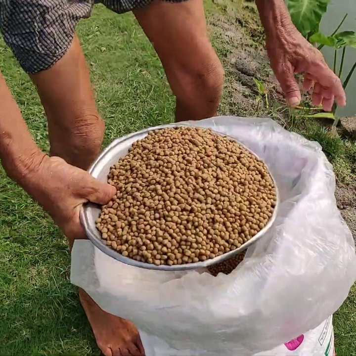 Hot Sale Animal Feed Fish Meal