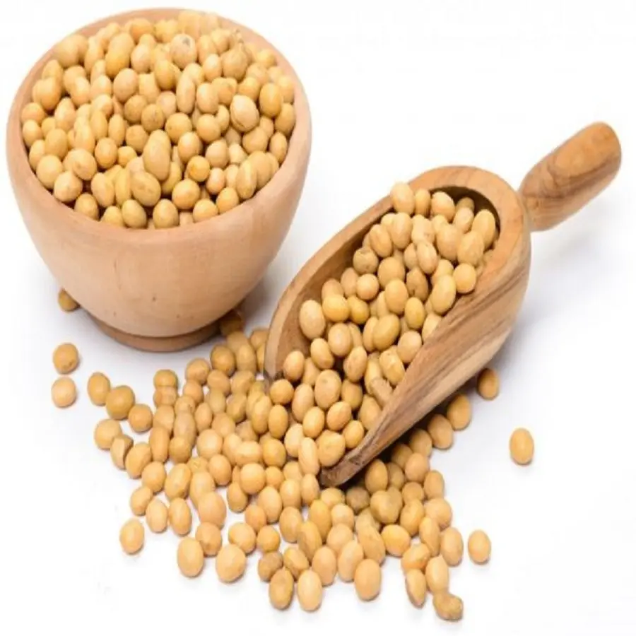 GMO and Non GMO Soybean/Soybean for Sale