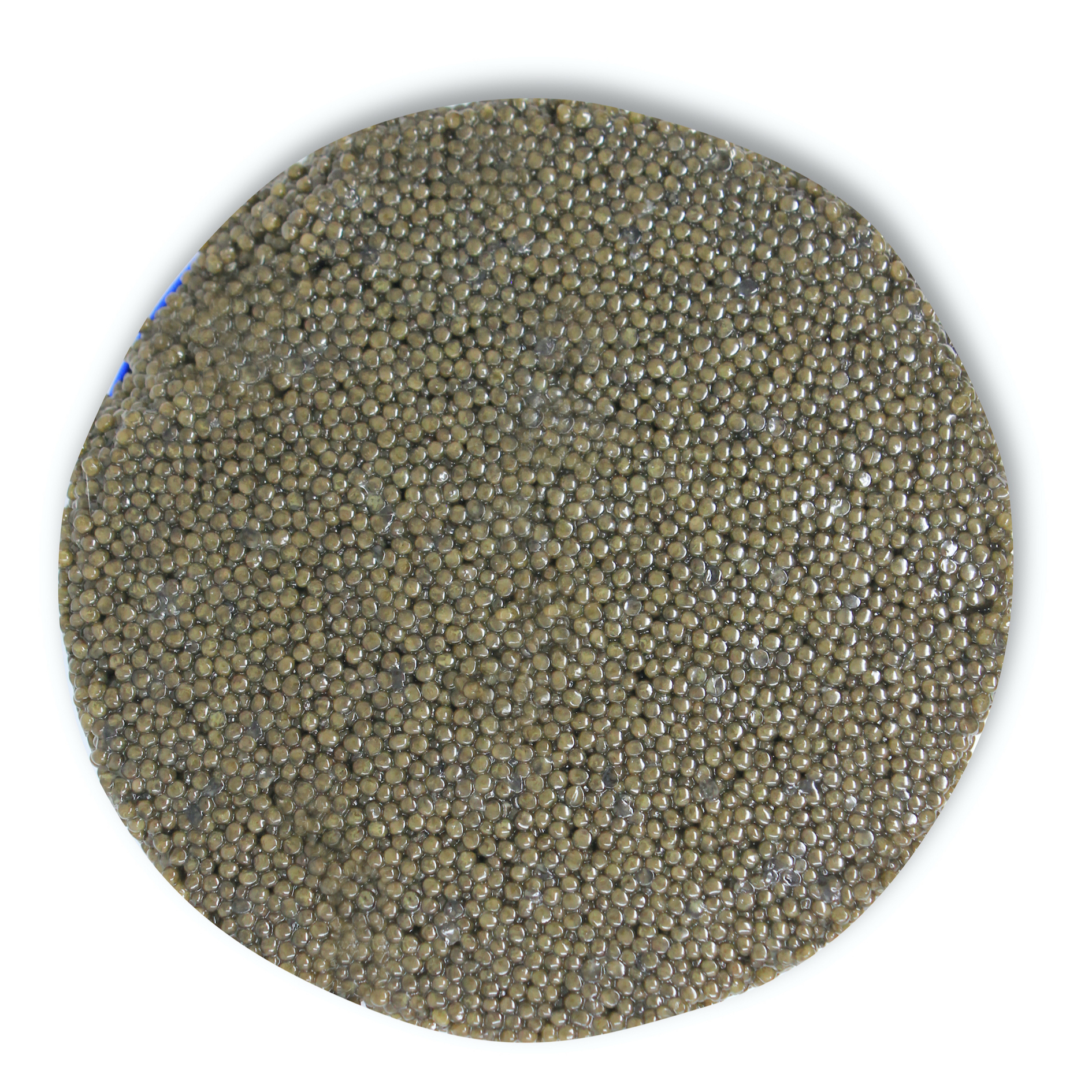 Top Quality Made in Italy Sustainable White Sturgeon Caviar 1800gr Tin