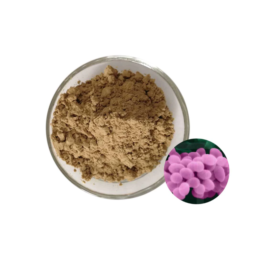 Пробиотики, лучшие пробиотики Bacillus Pumilus-Zealmax Biopharma