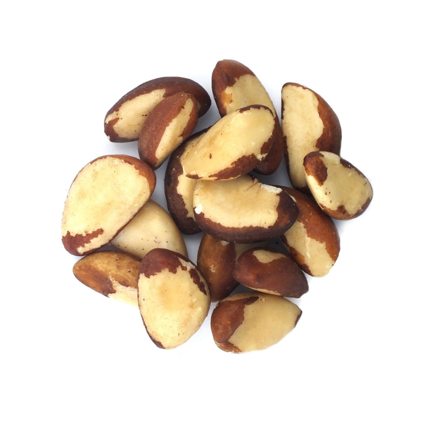 Wholesale Organic Raw Brazil Nuts and Roasted Brazil Nuts for Sale