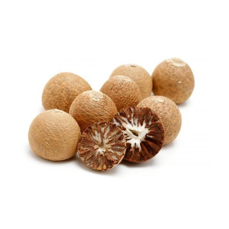Trusted Exporter of Top Quality Best Selling Betel Nuts from South Africa