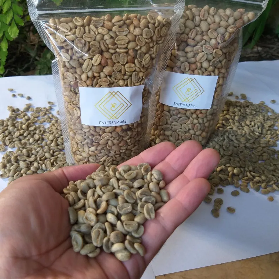 Indonesia Java Green Coffee Bean Agriculture