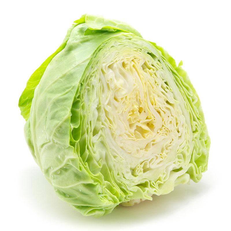 Wholesale Fresh Cabbage Available in Bulk