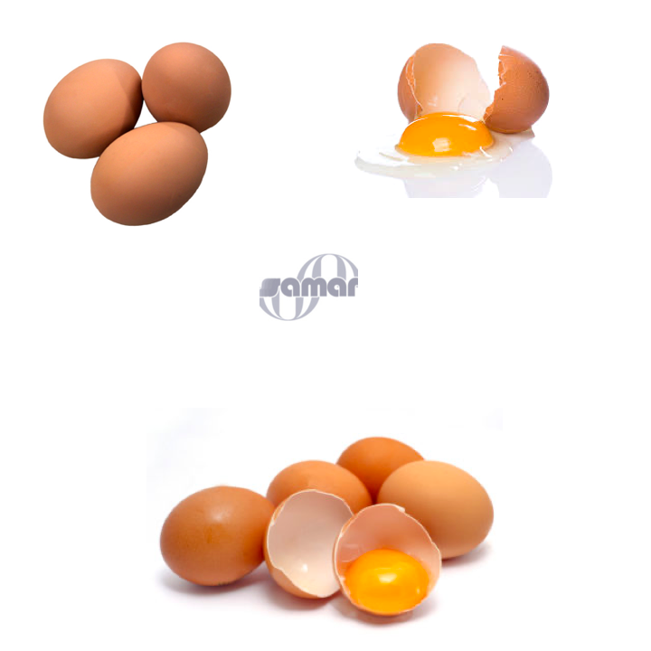 Fertile & Fresh Brown Chicken Eggs for Sale