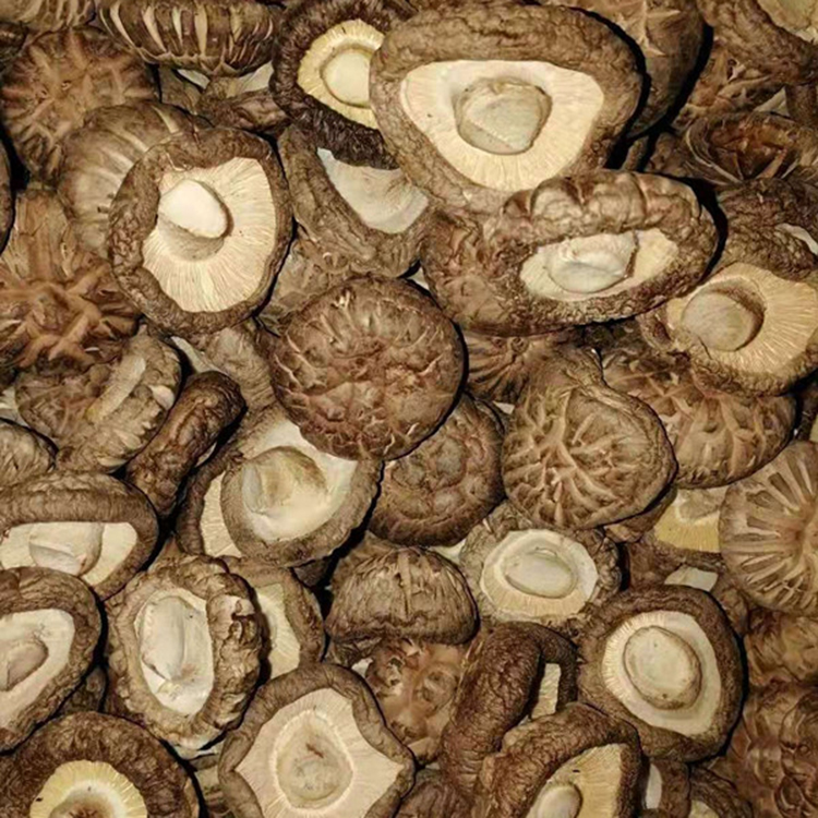 Оптовая продажа Shiitake Food Shiitake грибовидный стебель Грибовидные ножки сырье для растительного мяса веганское мясо