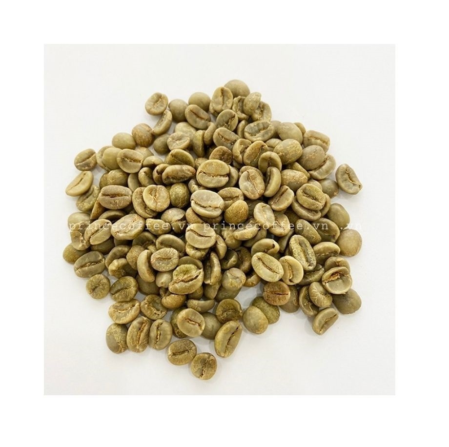 Coffee Beans NEW ARRIVAL Arabica Robusta Green Coffee Beans Vietnam 18 scr Raw Coffee Bean