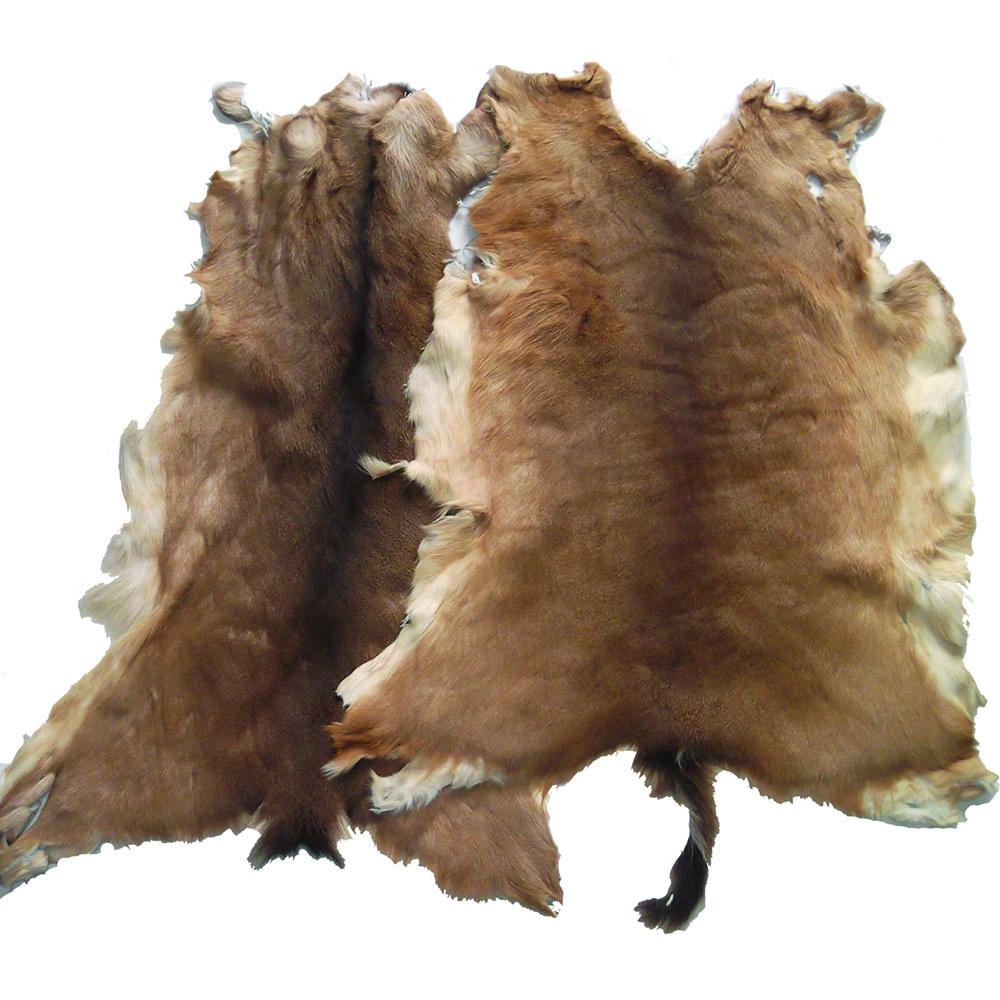 dry salted camel hides donkey hides