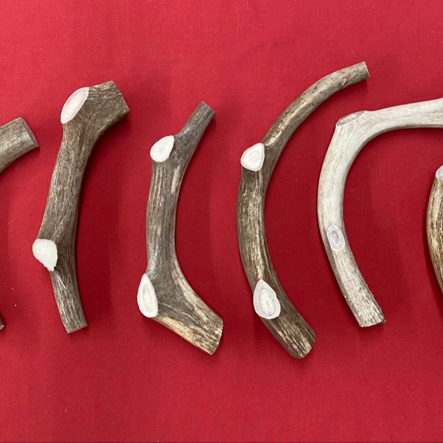 Олени Whitetail, олени, пучок, качественные олени