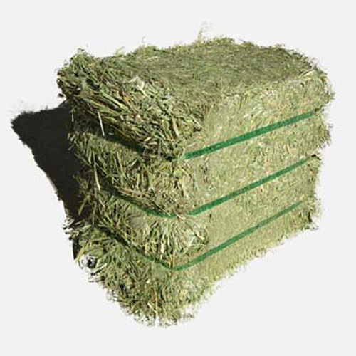 Продажа семян Альфальфа (большие сжатые тюки)