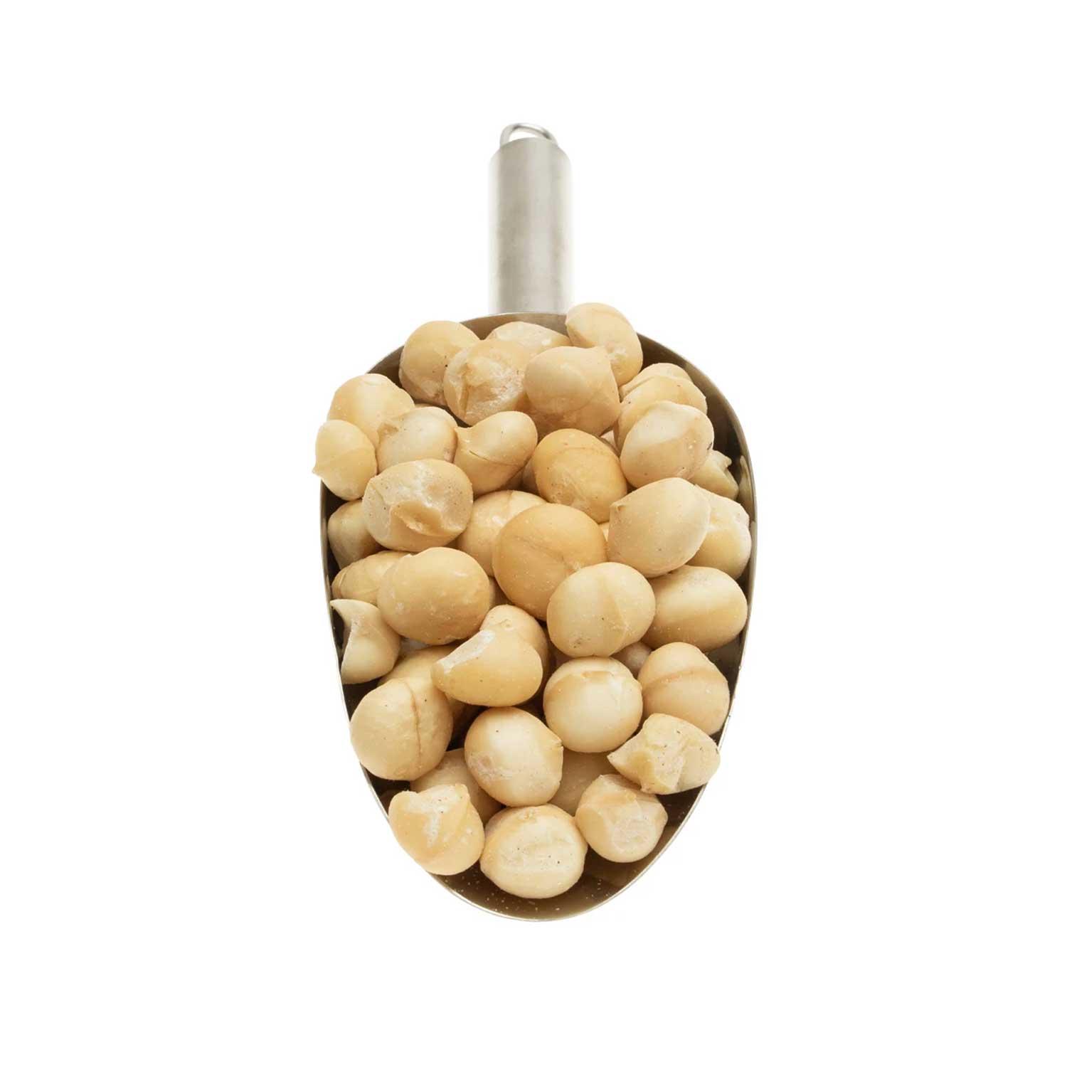 Nutritious Macadamia Nuts For Whole Sale