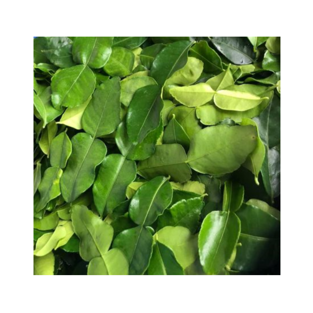 High Quality Fresh Super Herbal Organic Kaffir Lime Leaves Thailand Single Herbs & Spices Green Raw 1 Kg Sliced