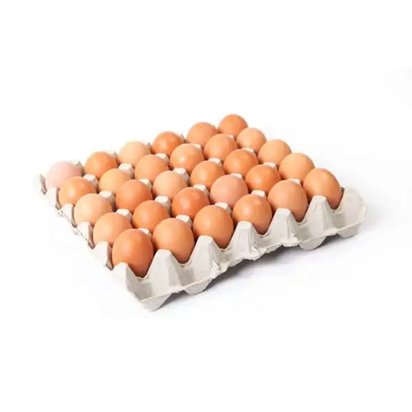Fresh Table Eggs White / Brown