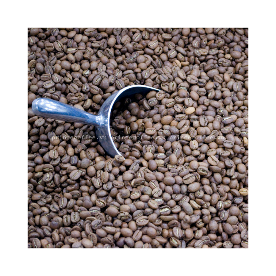 NEW CROP 2021 Wholesale Vietnam Arabica Roasted Coffee Beans HIGH GRADE Roasted Coffee Bean