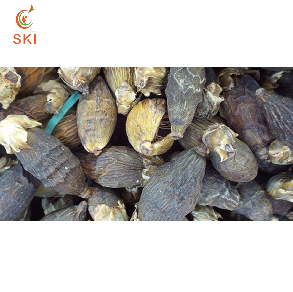 Лучший поставщик, лидер продаж 2021, заводская цена, орехи Betel/орехи Areca, новый сезон, сделано во Вьетнаме