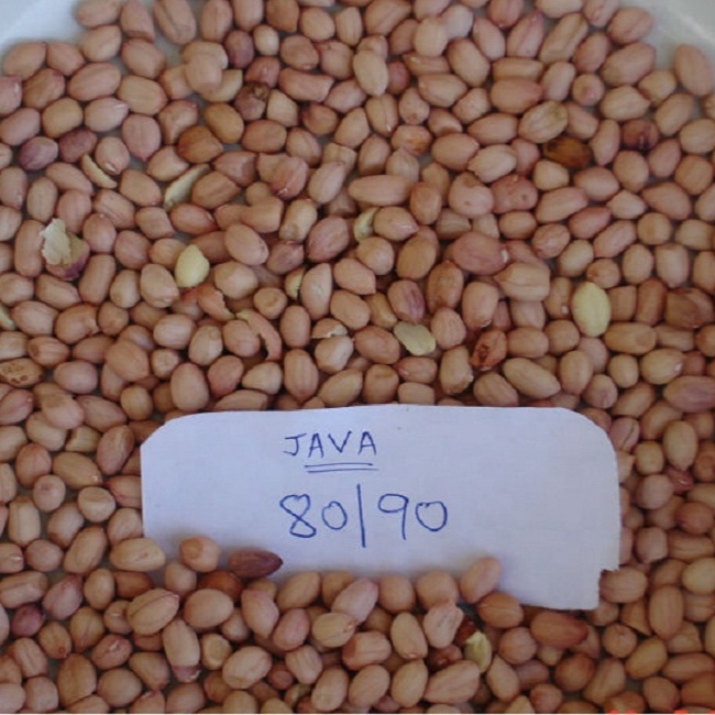 Купить сырье JAVA качанг TANAH ядра
