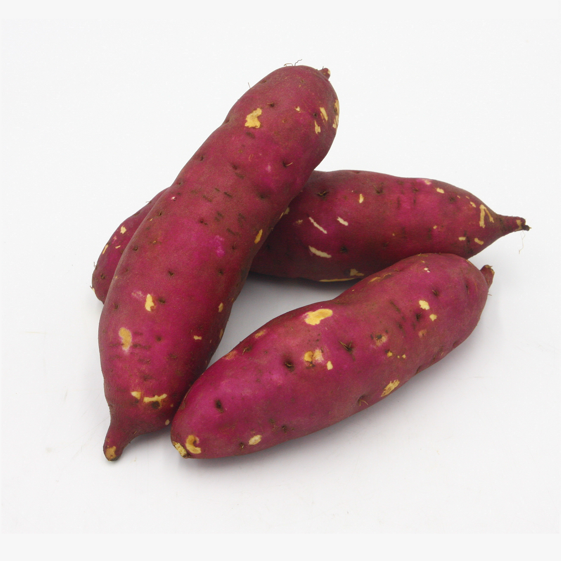 100% Fresh Sweet Potato from Vietnam ( Mrs Ella Nguyen: Webchat: +84 938898920)