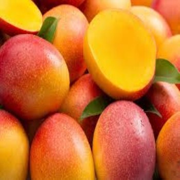 Свежий высокого качества Египетский mango 2020