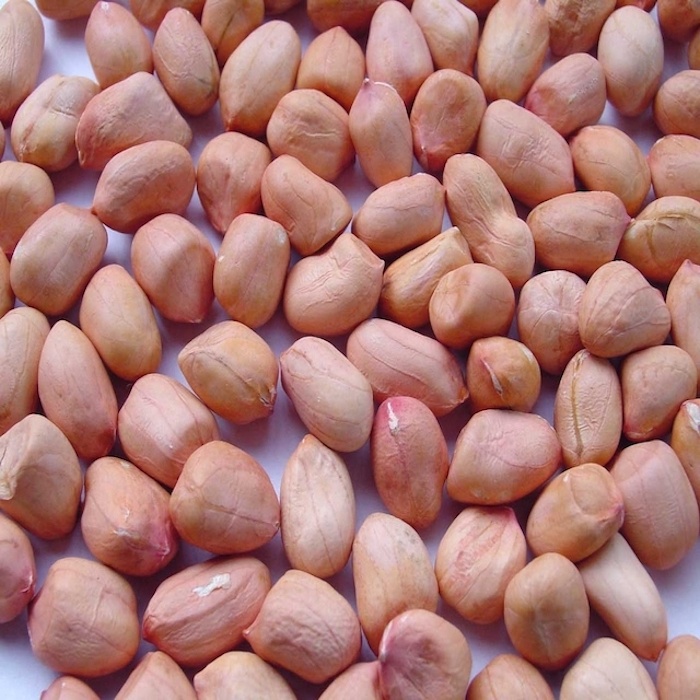 Жареный арахис 41/51 с ракушкой, Новый Сушеный стиль упаковки, арахис, органическое сырье, арахис высшего качества, арахис 21/23