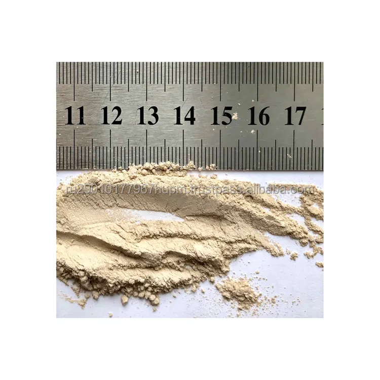 Quality caustic calcined magnesia powder packed in 1000kg big bags/25kg bags  product of Russia  chemical raw materials