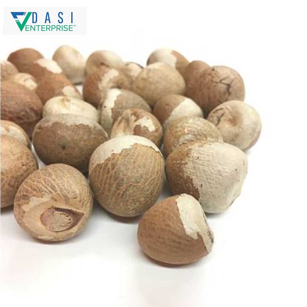 High Quality Human Consuming Naturally Dried Brown Bezel Nuts From South Africa in Low Cost
