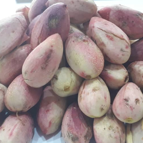Pistachio Nuts iranian for sale high quality good price