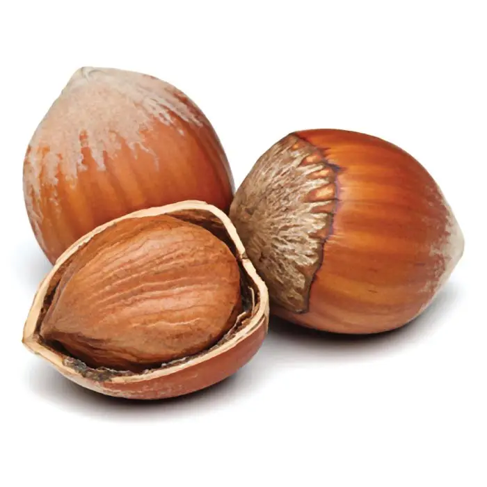 Hazelnuts suppliers Hazelnut kernels/Hazelnut in shell/ Organic hazelnut Roasted Orginal Turkish High Quality