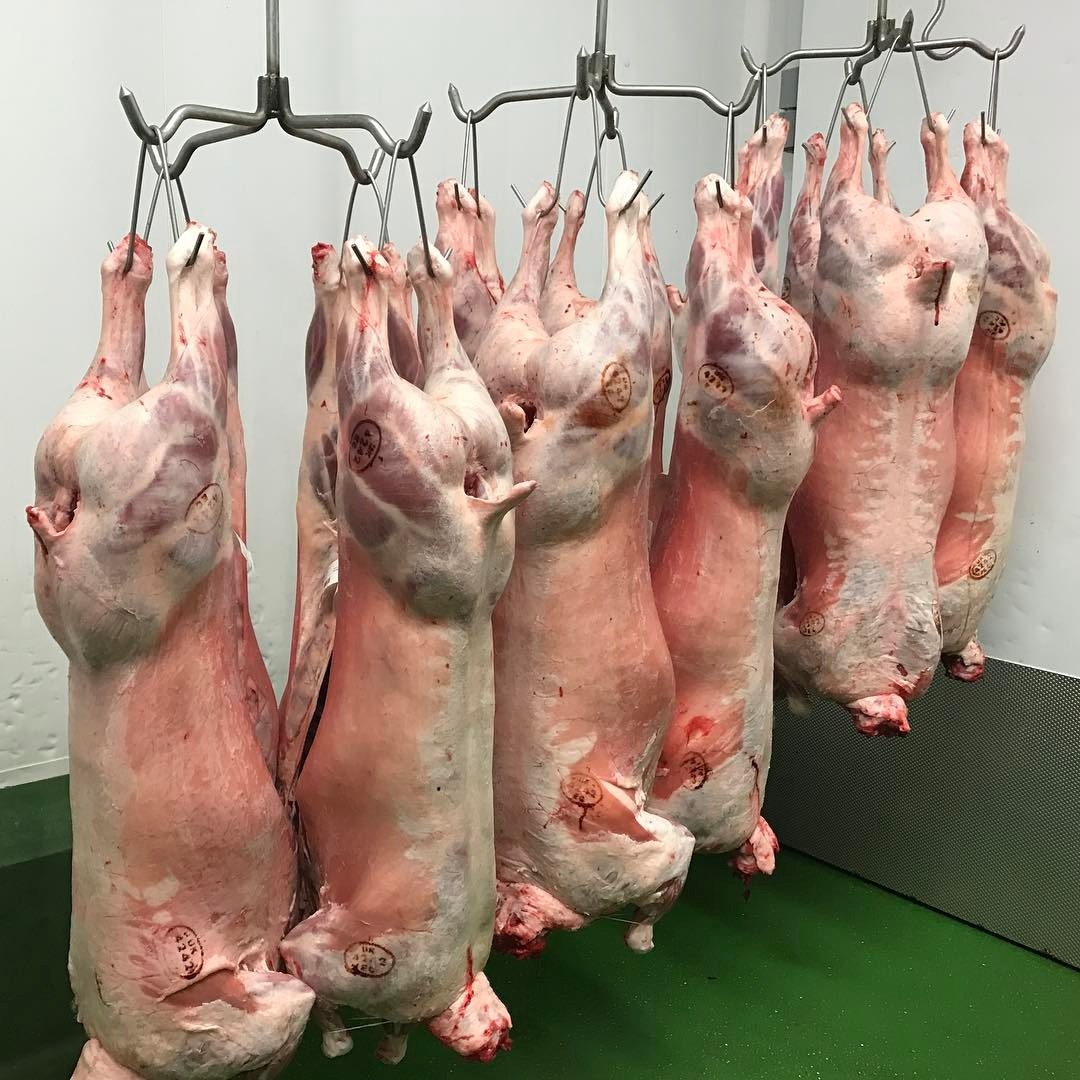 Замороженное халяльное мясо ягненка и тушка ягненка. Закажите сейчас