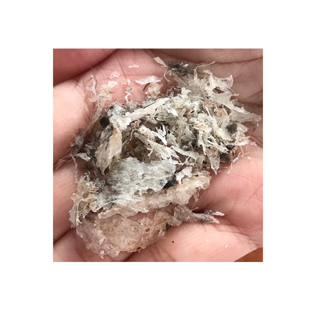 Raw Edible Bird's Nest Strips Classification ST3 250 g Healthcare Supplement Original from South Thailand for 100% Export