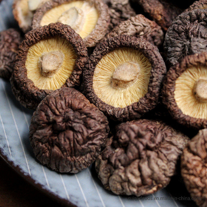 Vietnamese Supplier of 100% Natural Organic Dried Shiitake Mushroom for Export with Best Price / 0084902803631