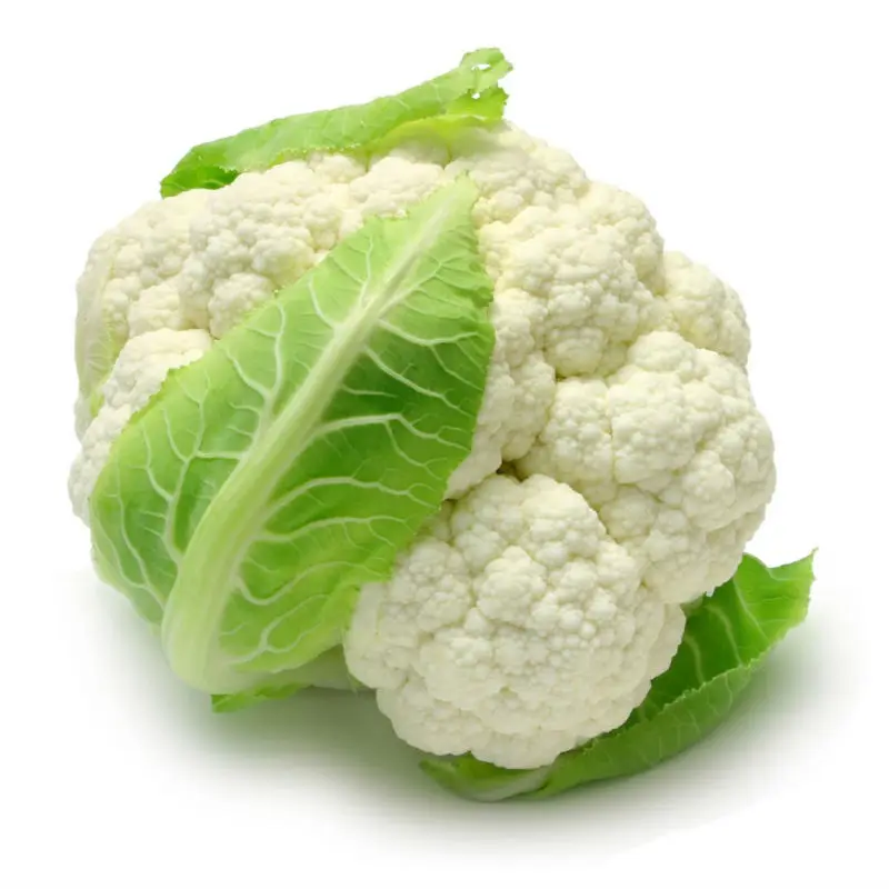 Egypt Quality Fresh Cauliflower - Buy Fresh Cauliflower,Decorating Cauliflower