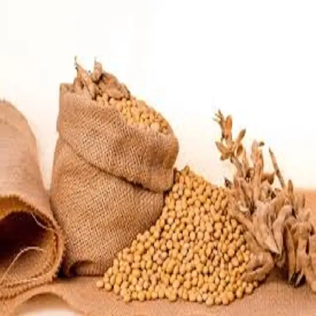 The Mountains Pure Natural Farming Non-Gmo Soybeans Soya Bean Soybean at low Market Price in India