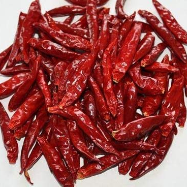 Chili Stemless Byadgi Dry Red Chili & Pepper Single Herbs & Spices Raw Elongated pure Rajasthani chilli By Indian seller