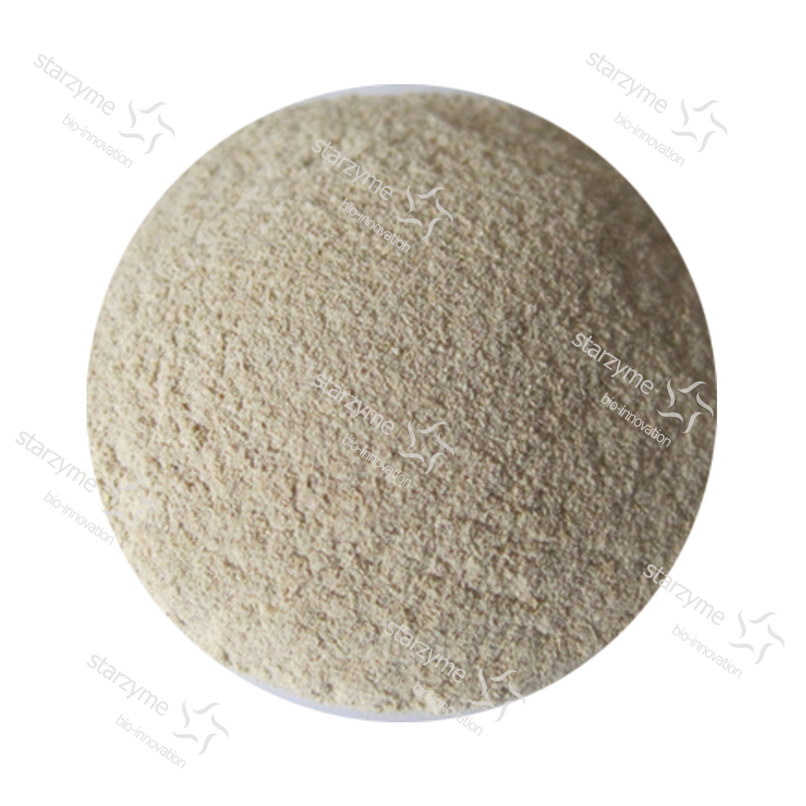 Hot Selling Amylase Enzyme Feed Additives Feed Grade Enzymes Feed Amylase High Purity High Efficacy
