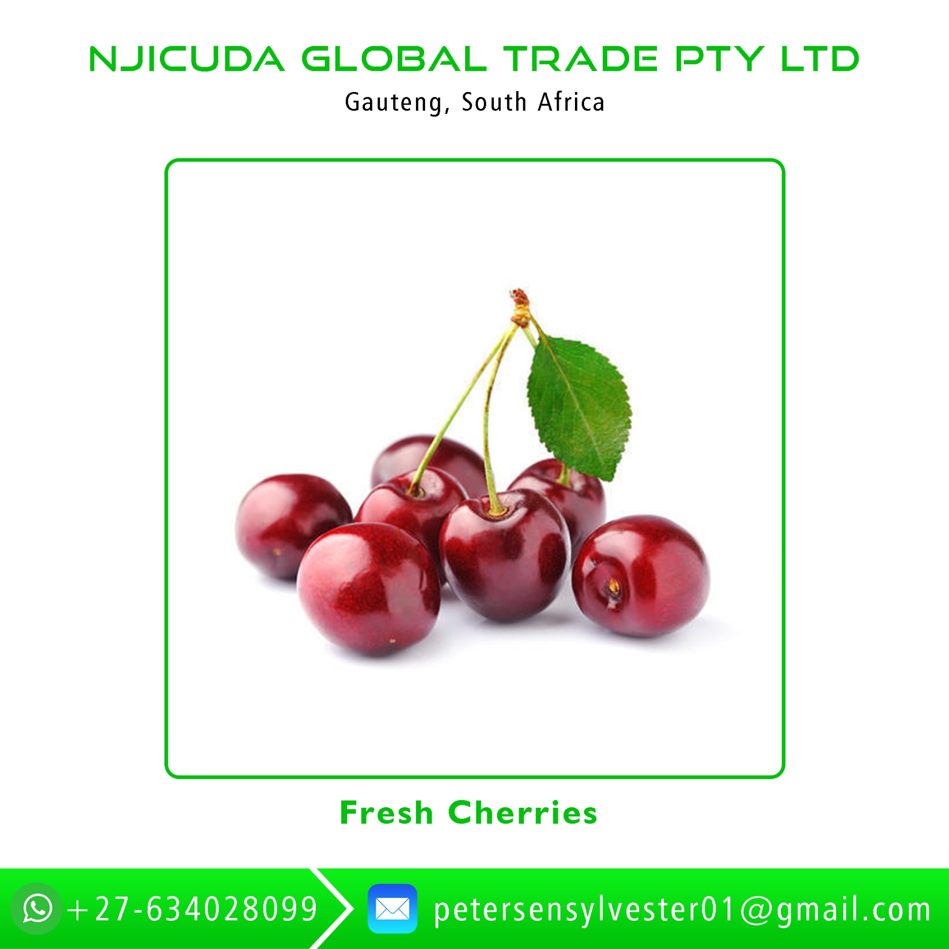Best Quality 2020 Fresh Cherries / Wholesale Supplier Fresh Cherries