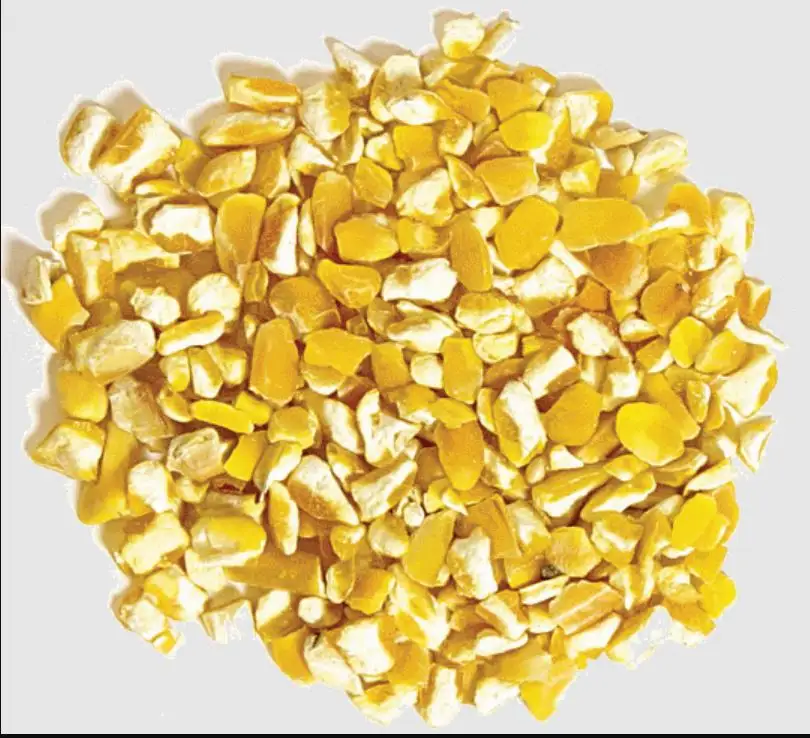 Cracked yellow Corn, Maize for Poultry and Bird Feeds.