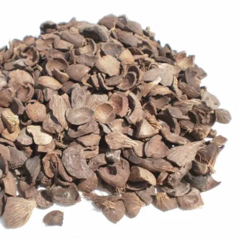 High quality palm kernel shell