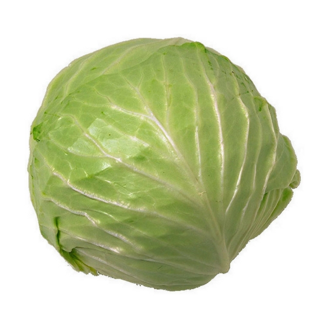 Hot Sell Wholesale Fresh Purple Cabbage Red Cabbage Austria