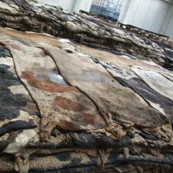 Wet Salted Cow Hides For Sale