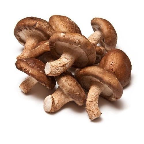 best Organic Mushroom Lions Mane Mycelium