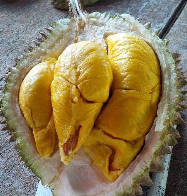 Wholesales Premium Frozen Ri 6 Durian / Vietnam Fresh Durian for export to USA, Australia, China / MS KATHY +84 896650714