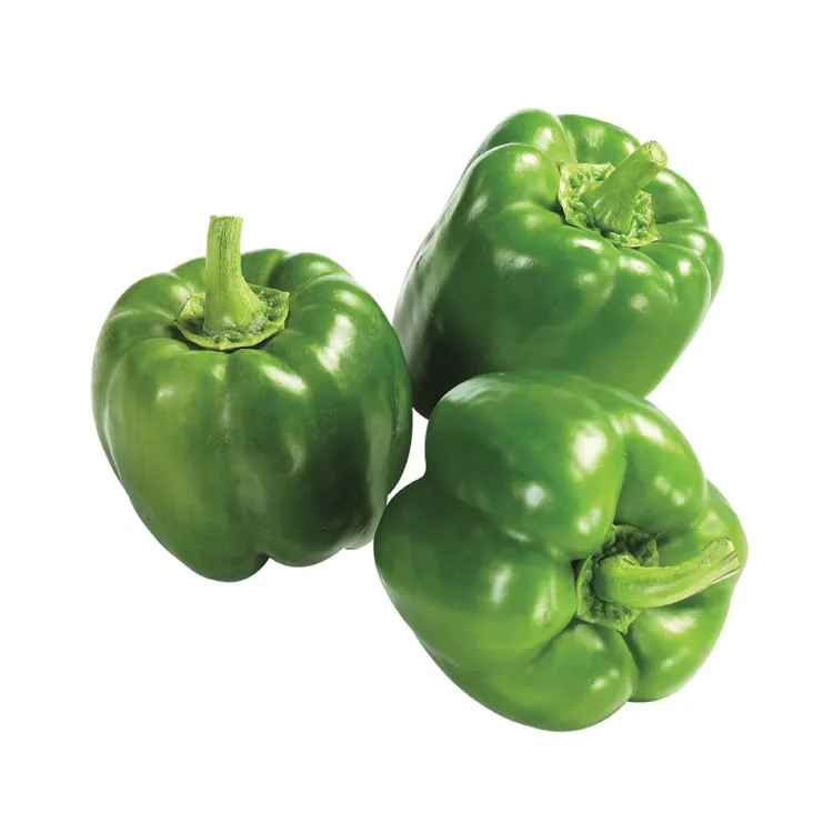 Wholesale Supplier of Fresh Quality Vegetables Capsicum Green Pepper
