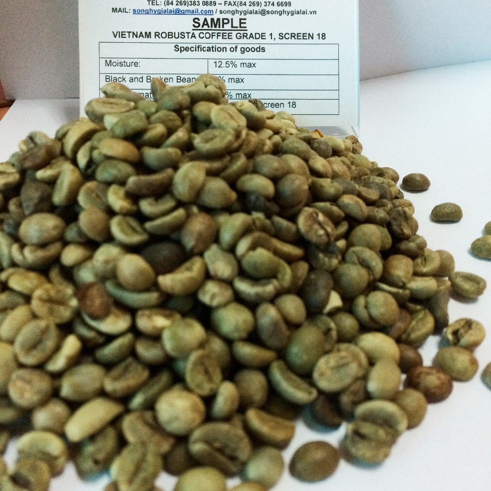 Новый Урожай кофейных зерен ROBUSTA, высокое качество, Лучшая цена, вьетнамское происхождение
