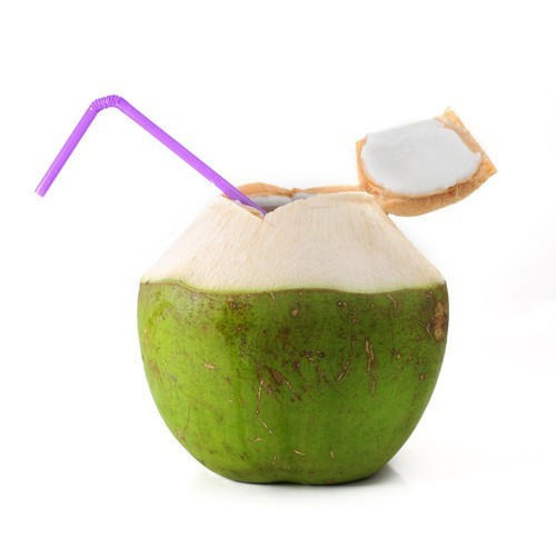 Dry Coconut/Fresh Tender Coconut Semi Husked Coconut At Low Cost And Best Quality/Wholesale