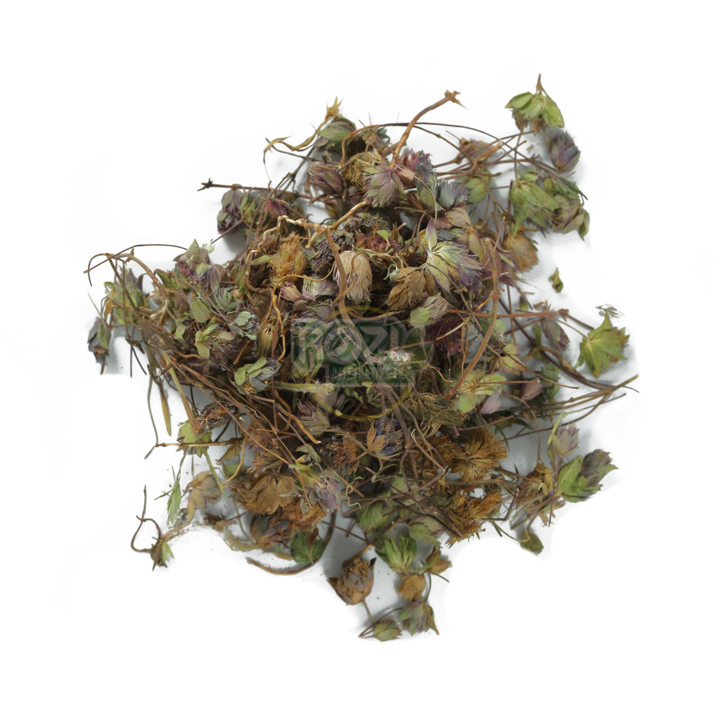 Zofa / Hyssop