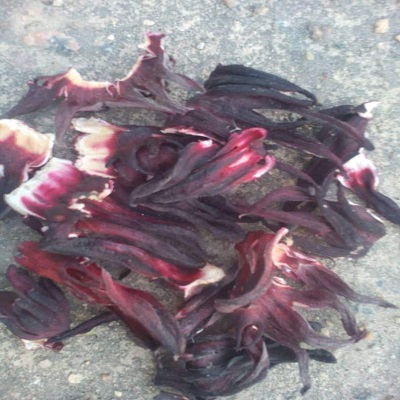 Dried Flowers Natural Dried Flowers Hibiscus Flower A Dried Red